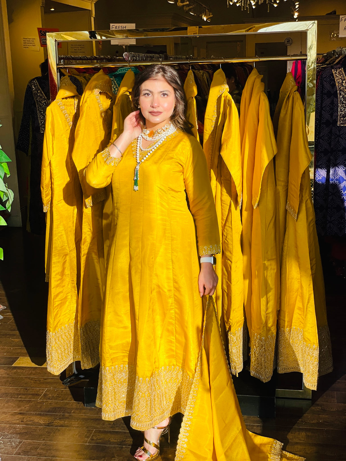 Baisakhi Anarkali Series-2