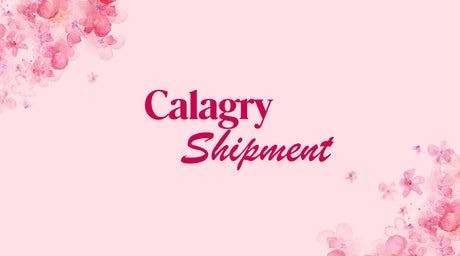 Calgary — New Shipment Coming Soon!